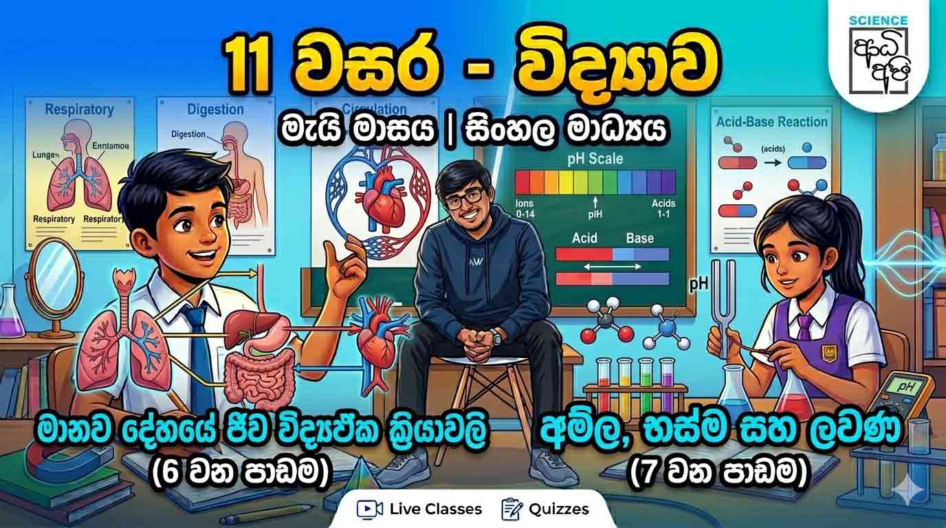 11 වසර විද්‍යාව – මැයි මාසය (සිංහල මාධ්‍ය)